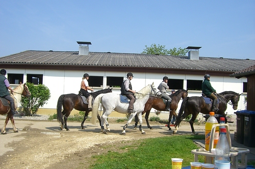 Pferdezuchtverein 009