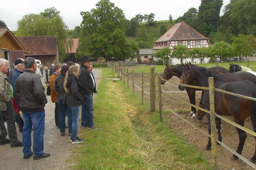 2015-05-30.ausflug.03.jpg